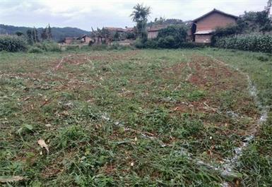 硯山縣阿猛鎮(zhèn)迷法村委會(huì)迷法村村莊環(huán)境綜合治理