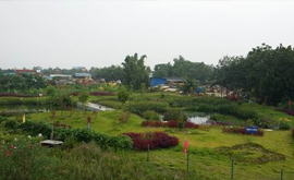 云南省環保廳領導蒞臨景洪市嘎灑鎮污水處理站指導工作