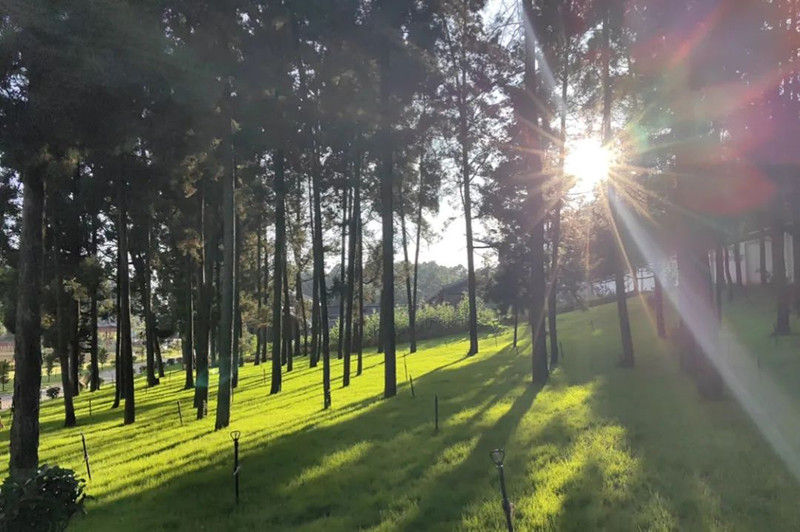 《中國政協》關注！云南政協：服務綠色發展 共護綠水青山