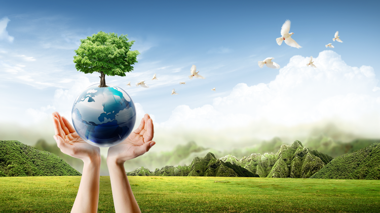 我省全面推動(dòng)經(jīng)濟(jì)發(fā)展綠色低碳轉(zhuǎn)型